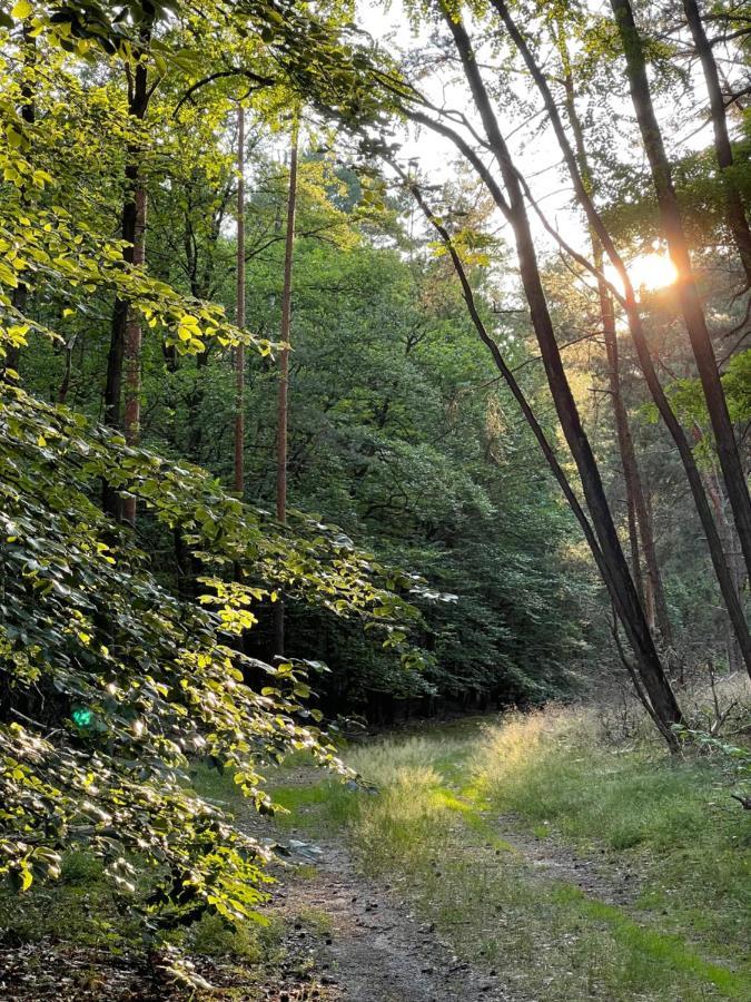 Ferienwohnung Unter Den Linden Halbe Eksteriør billede